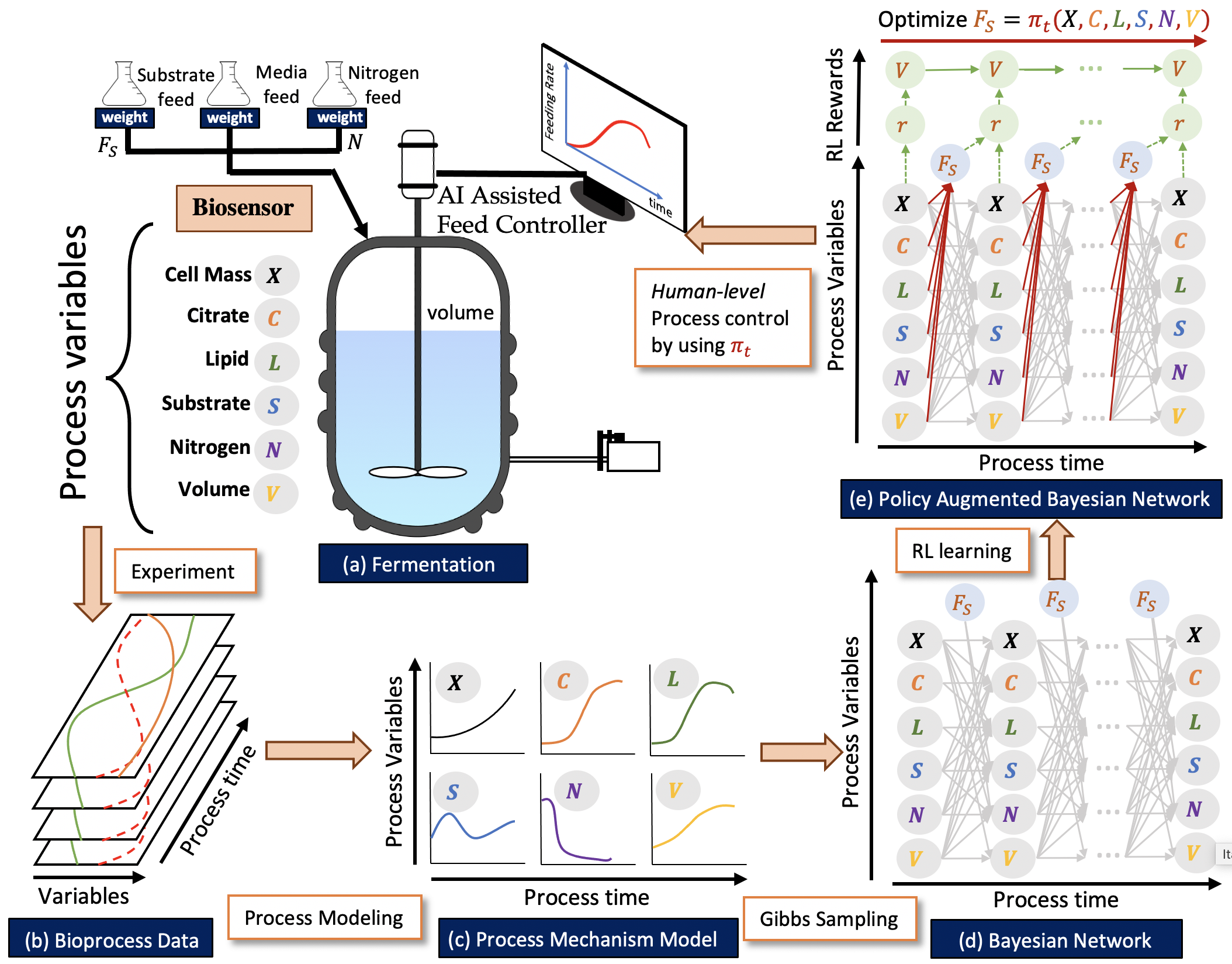 Policy Optimization in Bayesian Network Hybrid Models of ...