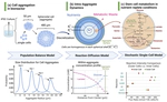 Stochastic biological system-of-systems modelling for iPSC culture